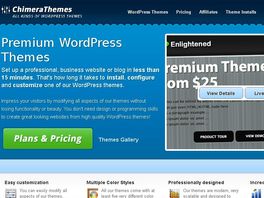 Go to: WordPress Themes with Killer Options