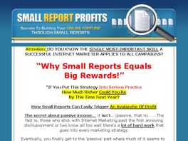 Go to: Small Report Profits.