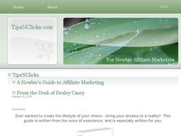 Go to: TipsNClicks A Newbie's Guide To Affiliate Marketing.