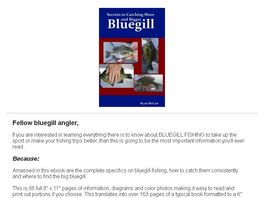 Go to: Secrets To Catching More And Bigger Bluegill