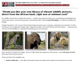 Go to: Wildlife Stock Photos On Virtual Cd