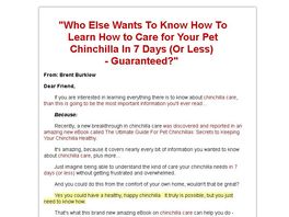 Go to: The Ultimate Guide For Pet Chinchillas