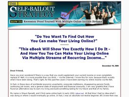 Go to: The Self-bailout Strategy