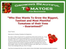Go to: Growing Tomatoes For Beginners