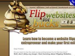 Go to: Flip Websites For Bucks - Earn Money As Website Entrepreneur.