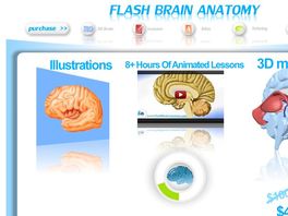 Go to: Flash Brain Anatomy