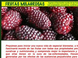 Go to: Frutas Milagrosas