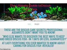 Go to: The Ultimate Guide To Discus Fish Care